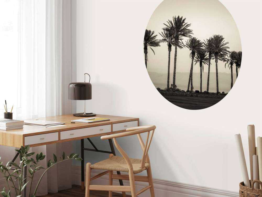Palm trees black and white