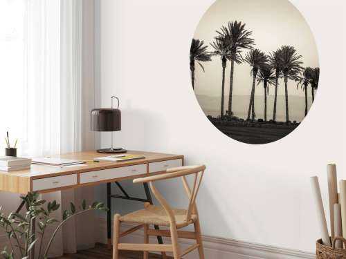 Palm trees black and white
