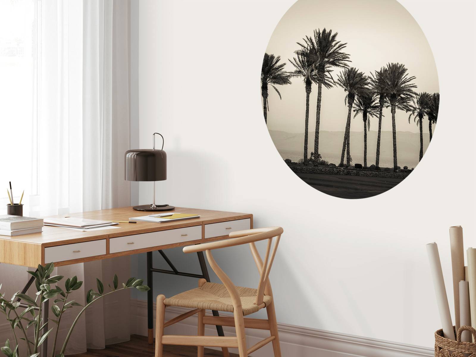 Palm trees black and white