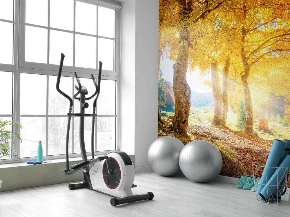 Warm autumn landscape