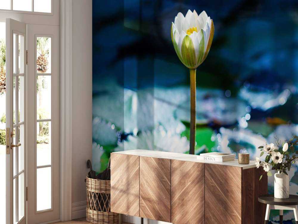 Lotusbloem in opkomend zonlicht