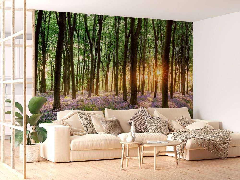 Forest path at sunrise