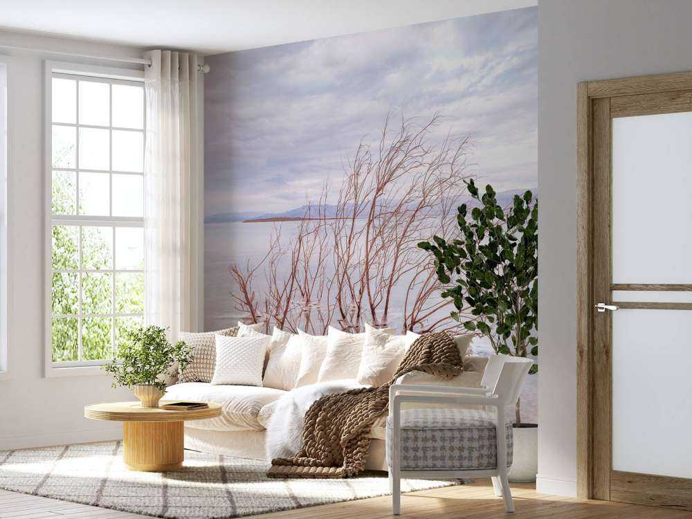 Branches in the Dead Sea