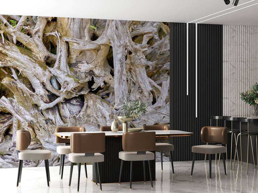 Tree roots 