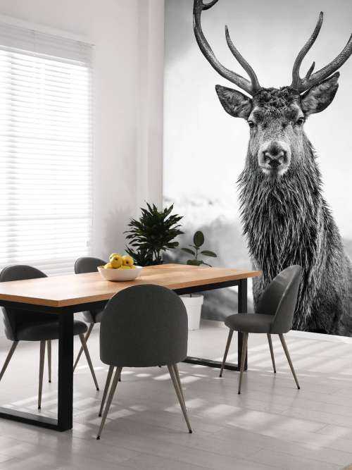 Big deer