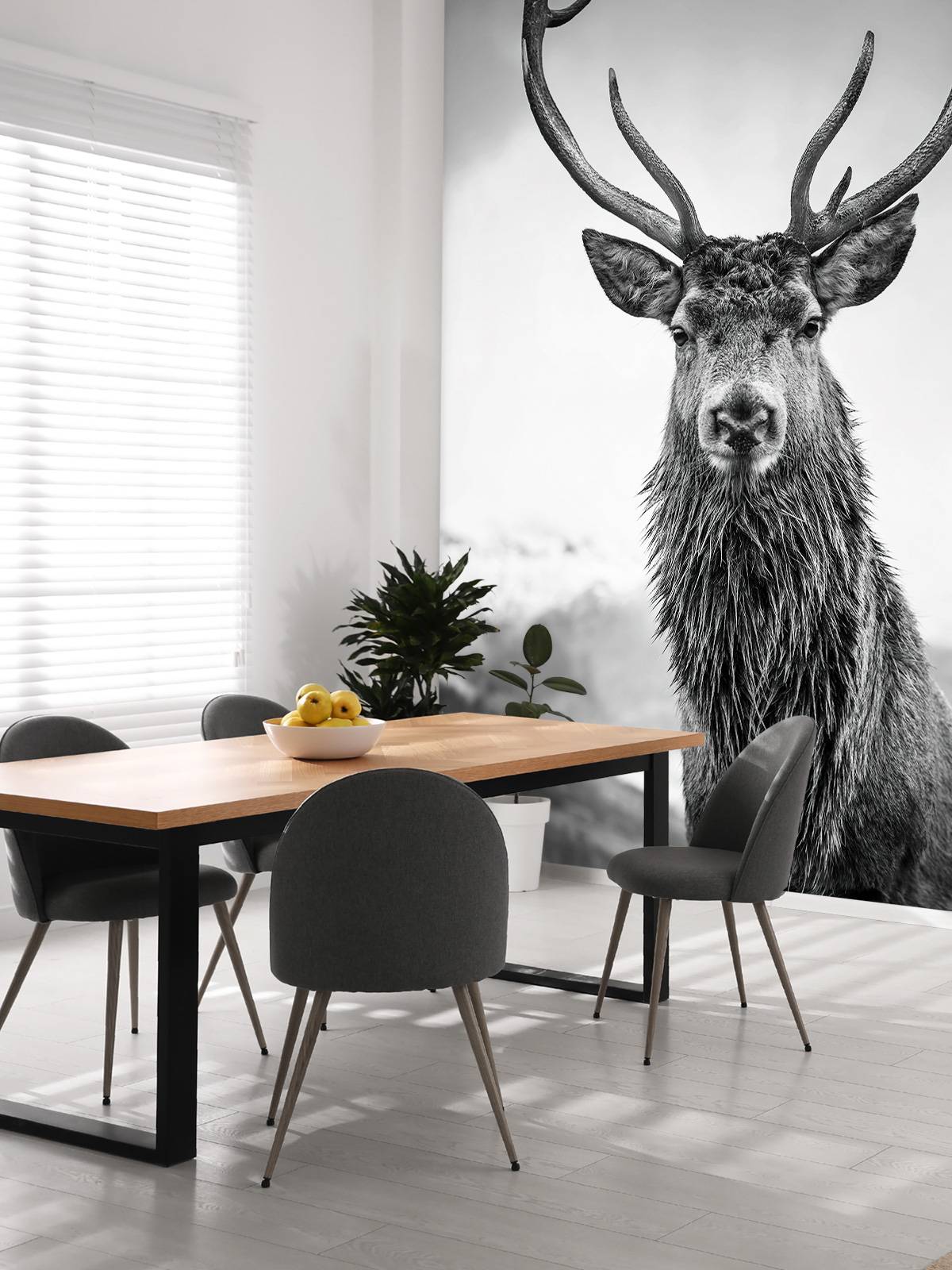Big deer