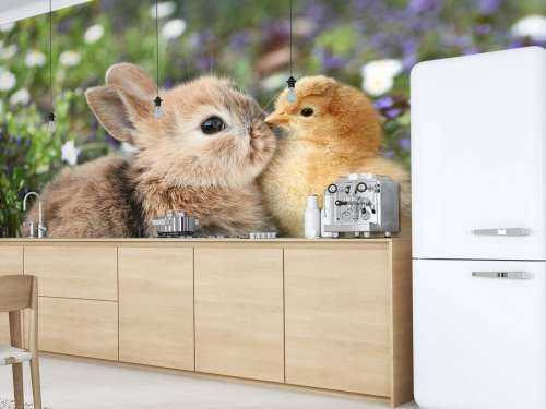 Rabbit and chick