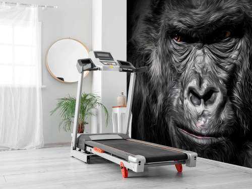Drawn Gorilla