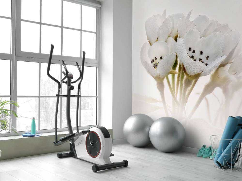 Pear blossom close-up