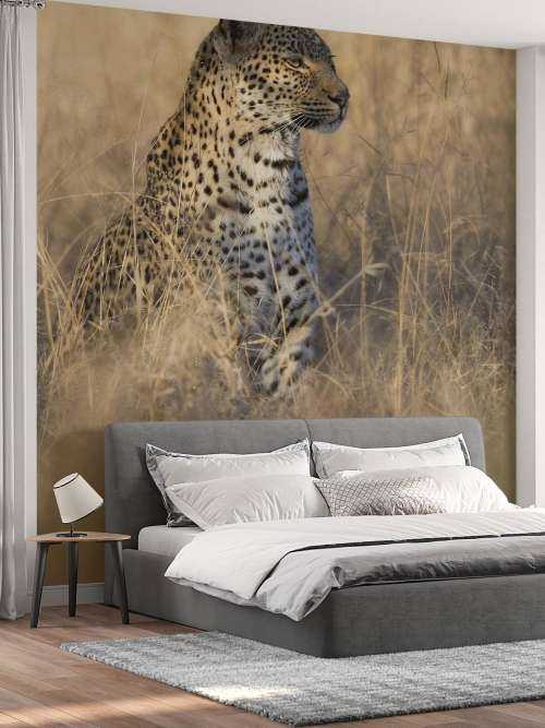 Hunting leopard