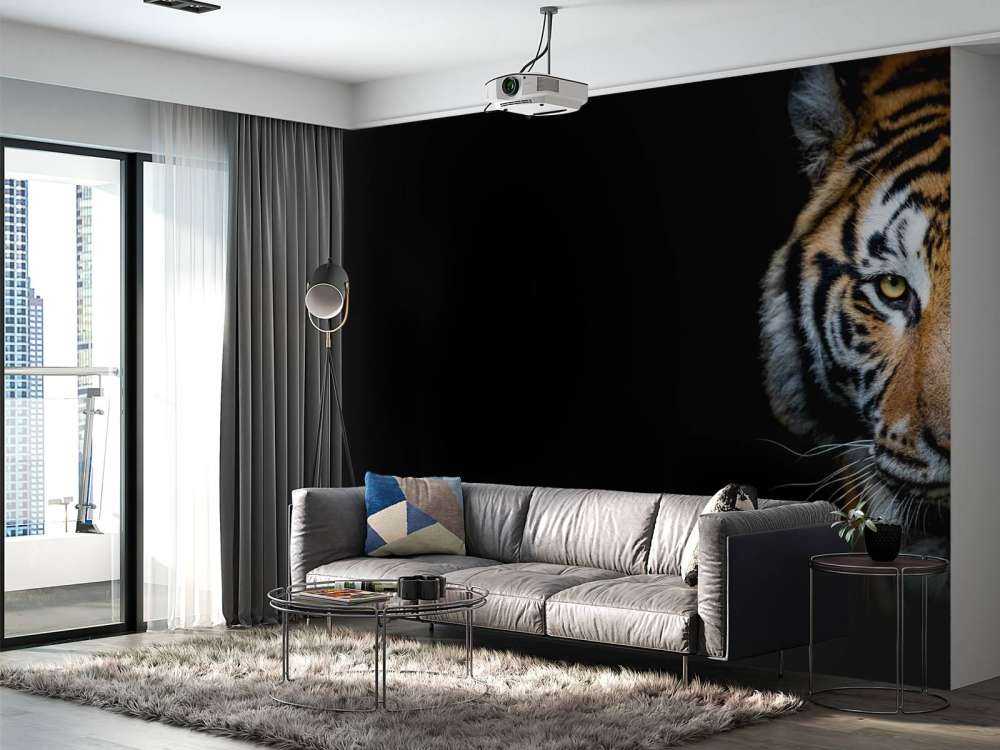 Tiger panorama