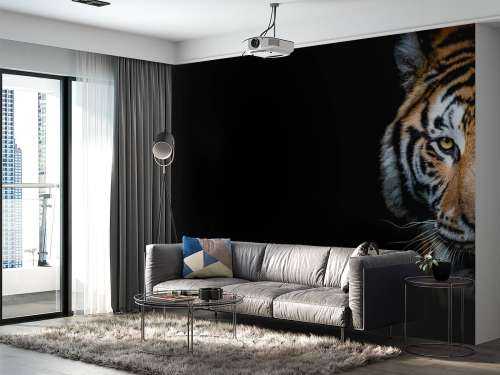 Tiger panorama