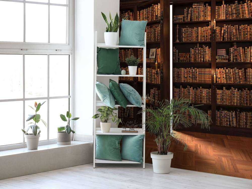 Secret library with hidden door