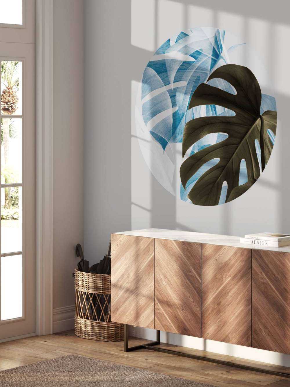 Monstera Creative 02