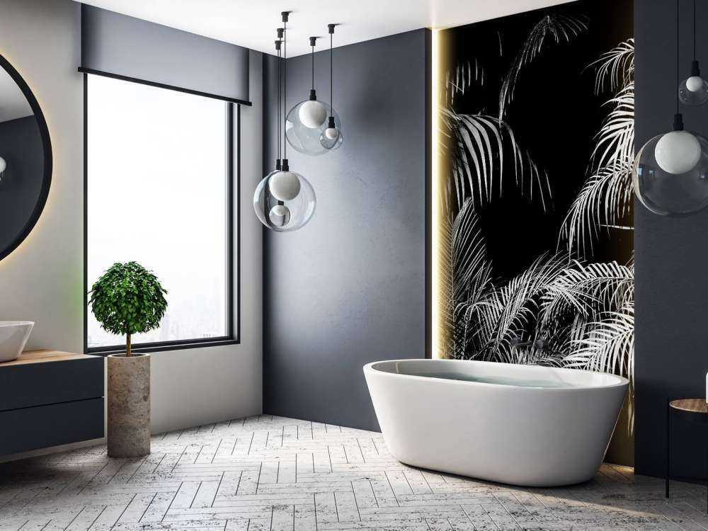 Plant with white leaves