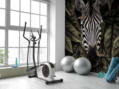 Jungle Zebra