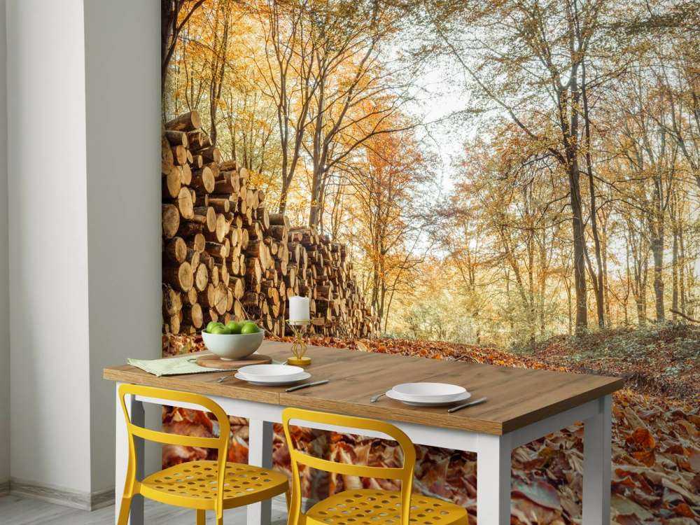 Tree trunks in autumn forest