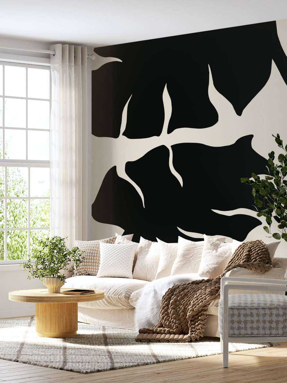 Monstera Black