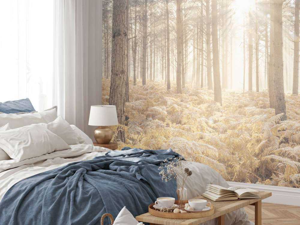 Sun rays in the cold forest