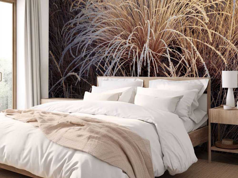 Grasses with hoarfrost