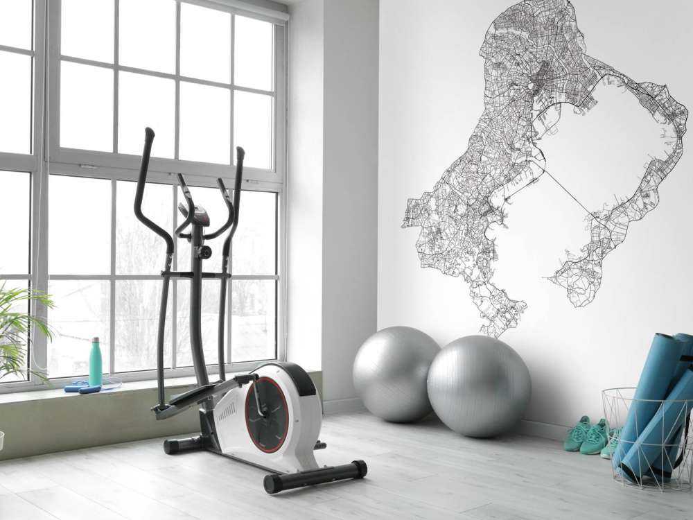 Plattegrond van Tokio, wit 