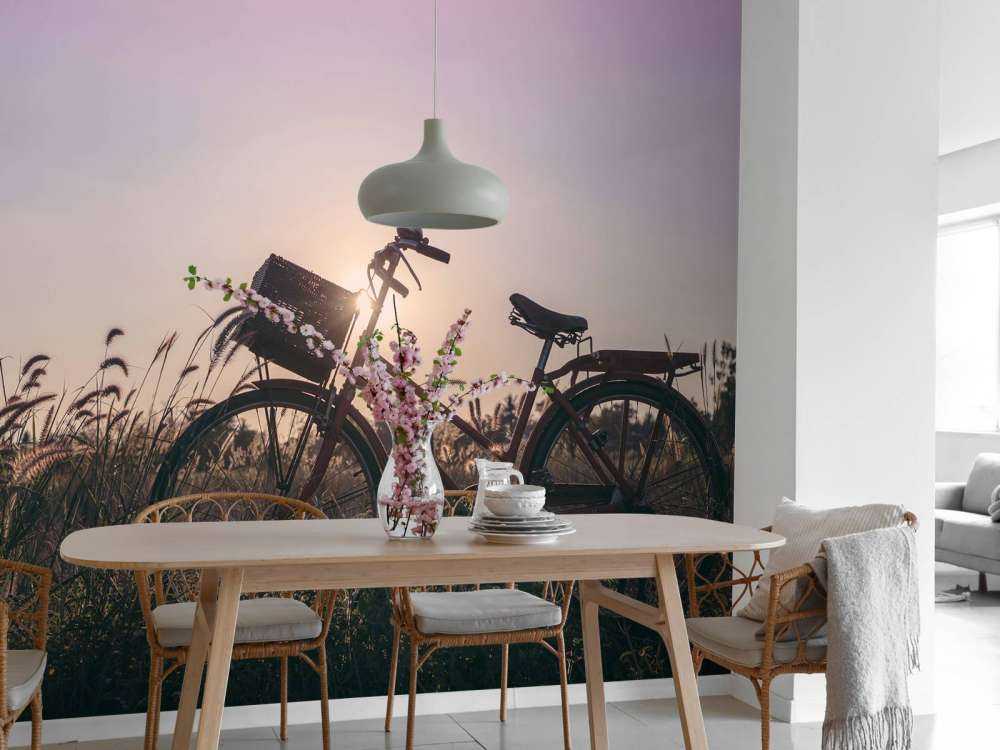 Bicycle in a field