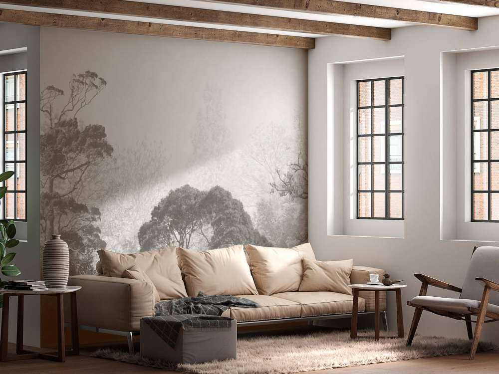 Forest landscape