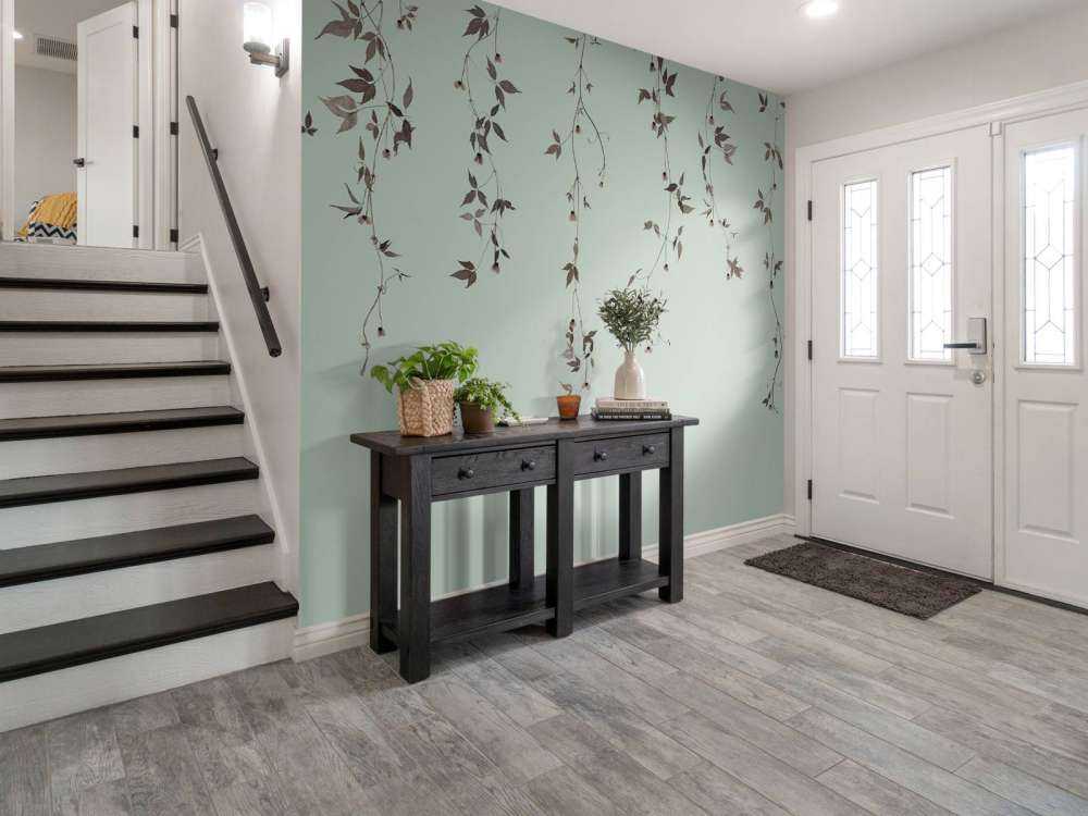 Clematis twigs on gray green