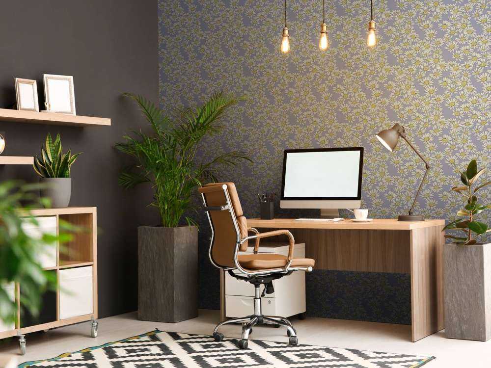 Dazzling Daisy Lilac