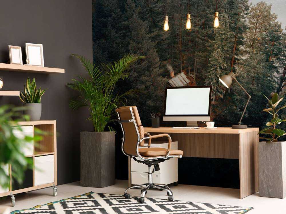 Cabin surrounded by forest and lakes