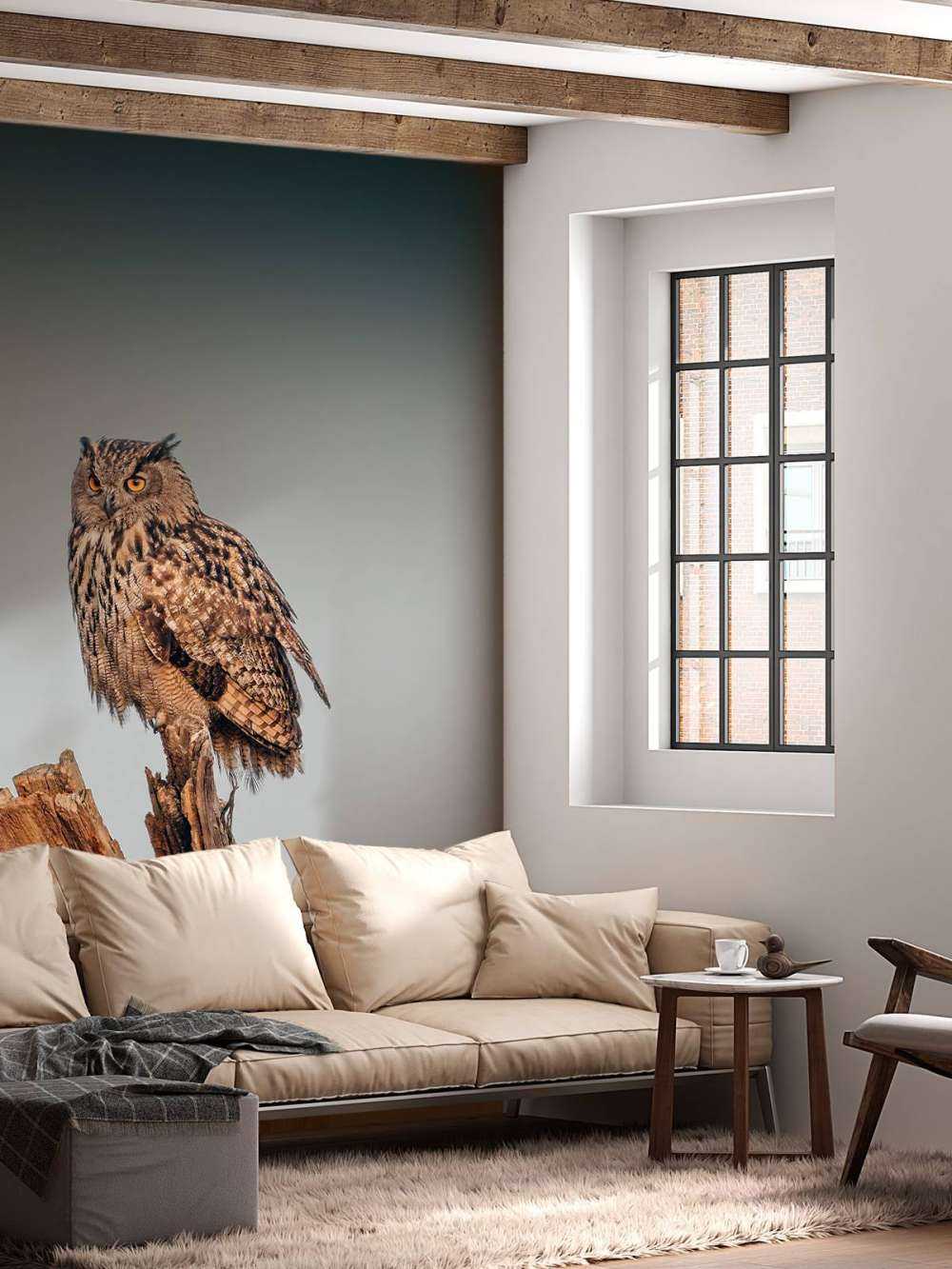 Eagle owl