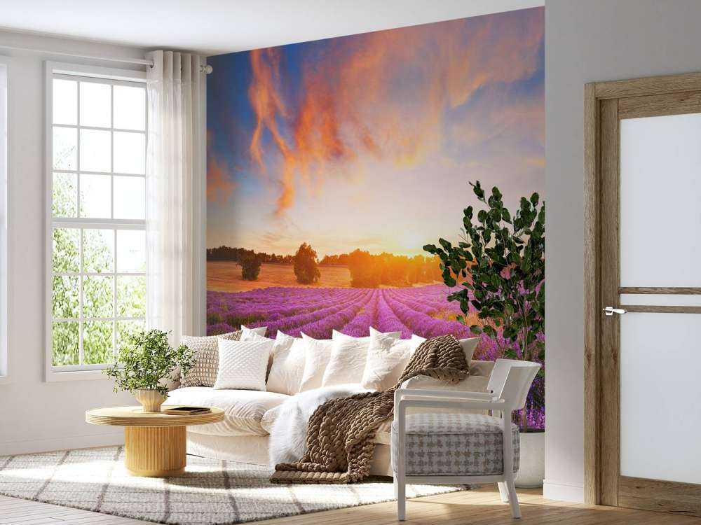 Field of Lavender