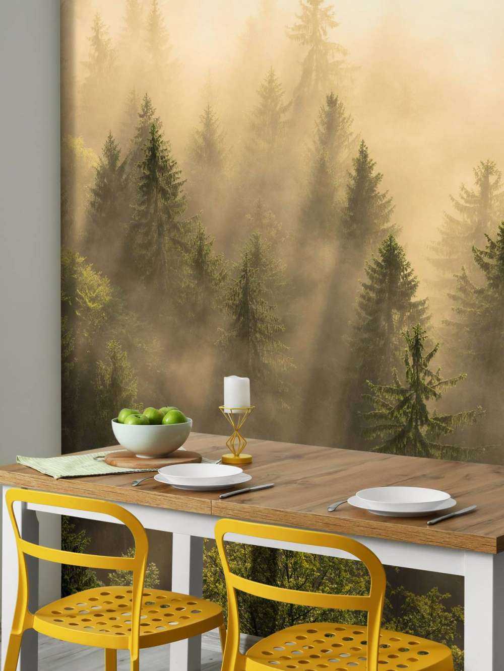 Foggy pine trees