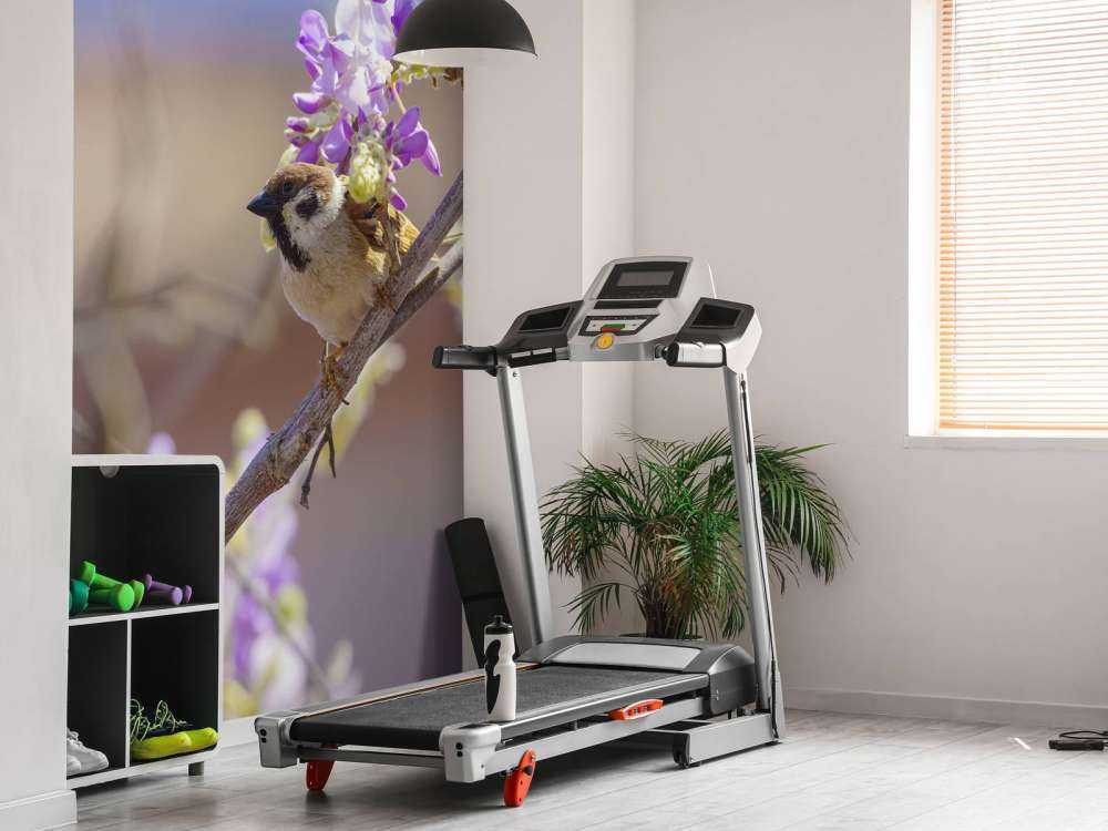 Sparrow and purple flowers