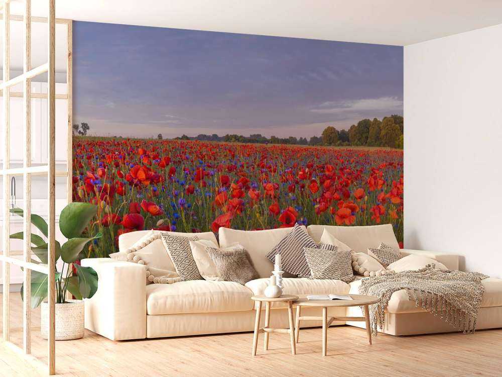 Blue flowers and red Poppies