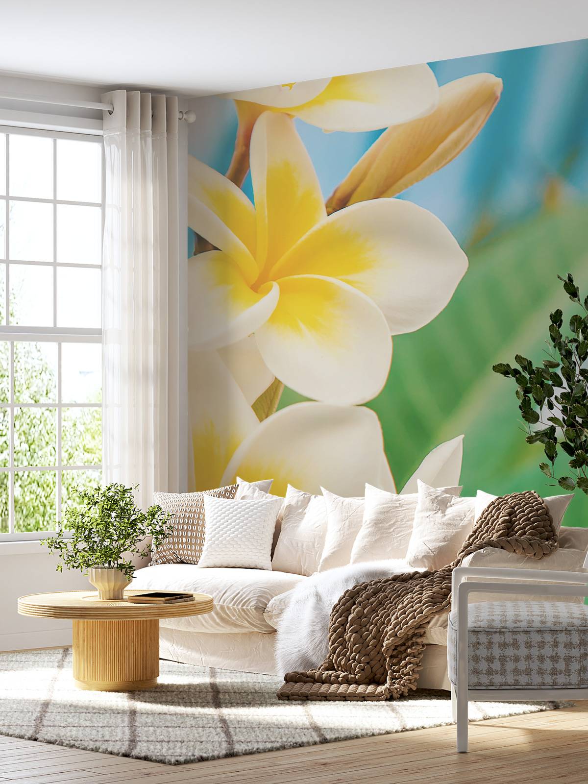 White Yellow Plumeria Flower