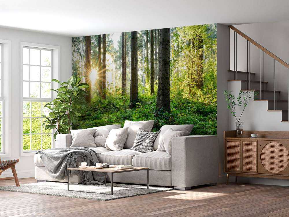 Forest panorama in spring