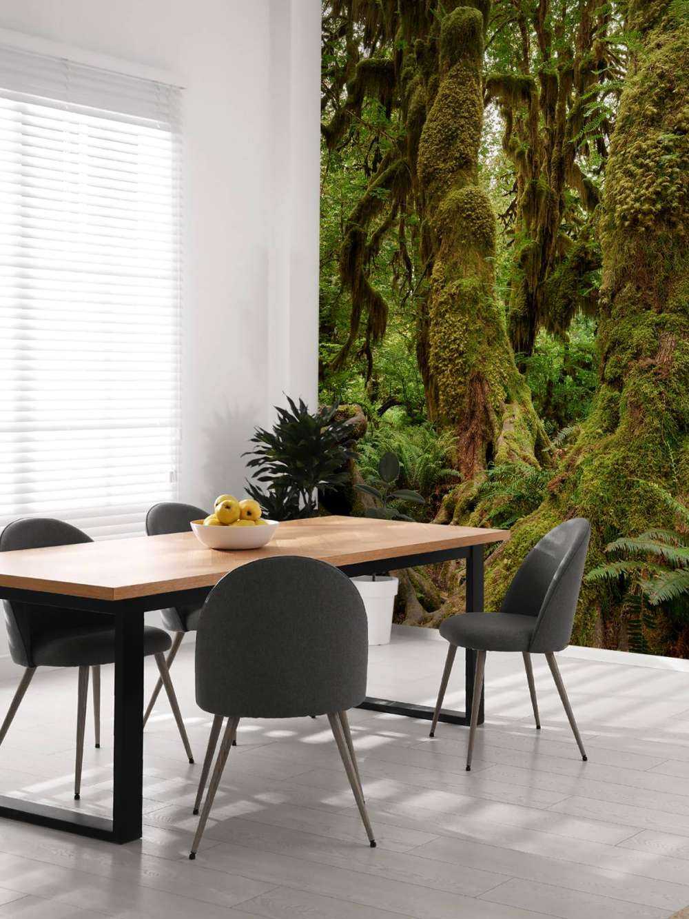 Trees in a rainforest