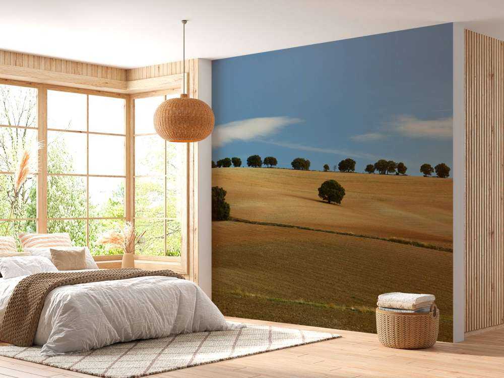 Trees in Spanish landscape