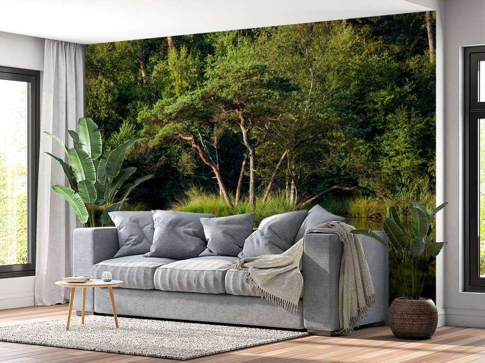 Island in forest lake