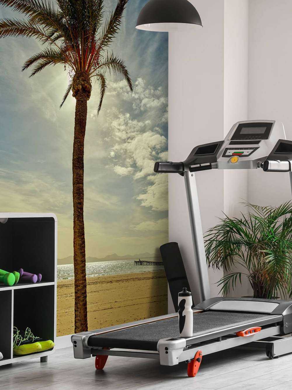 Palm tree in the sun