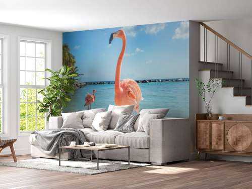Flamingo on the beach