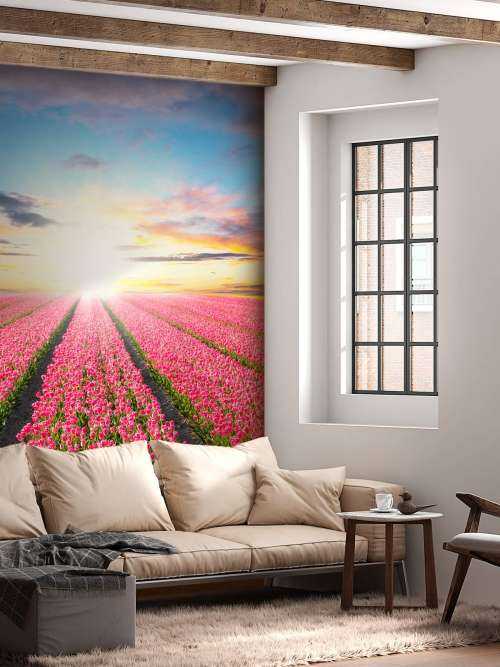 Tulips with rising sun