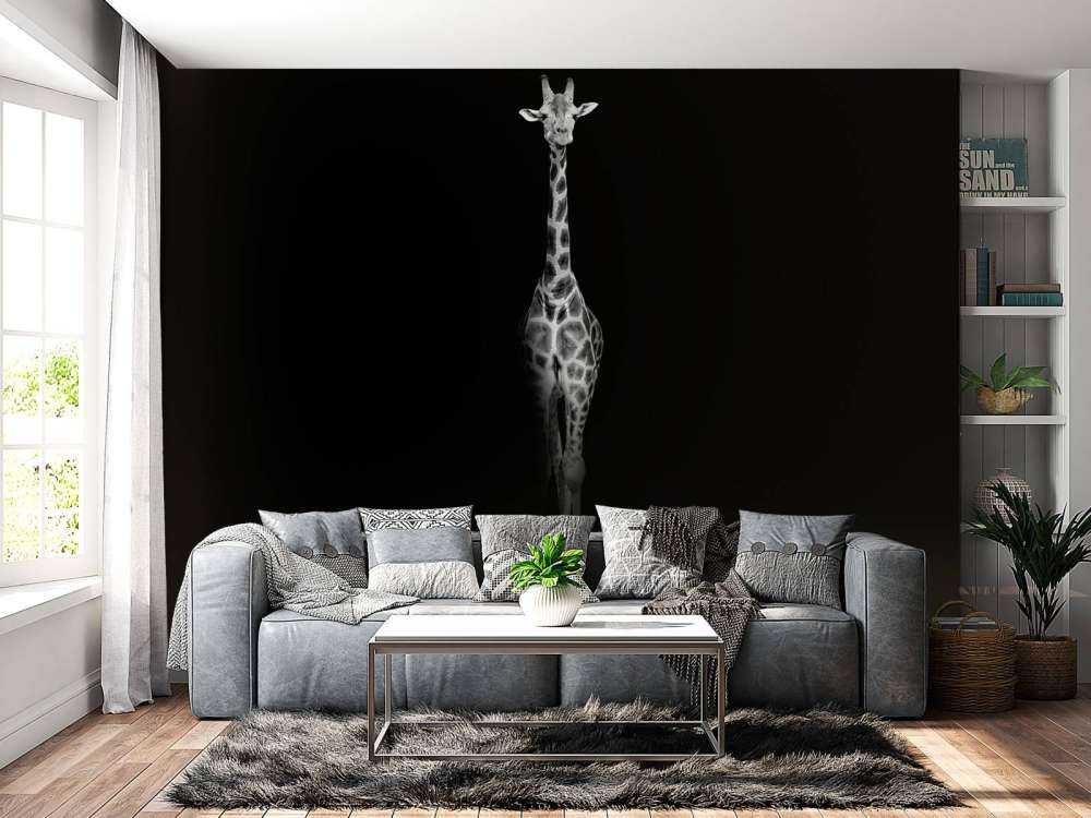 Giraffe black and white