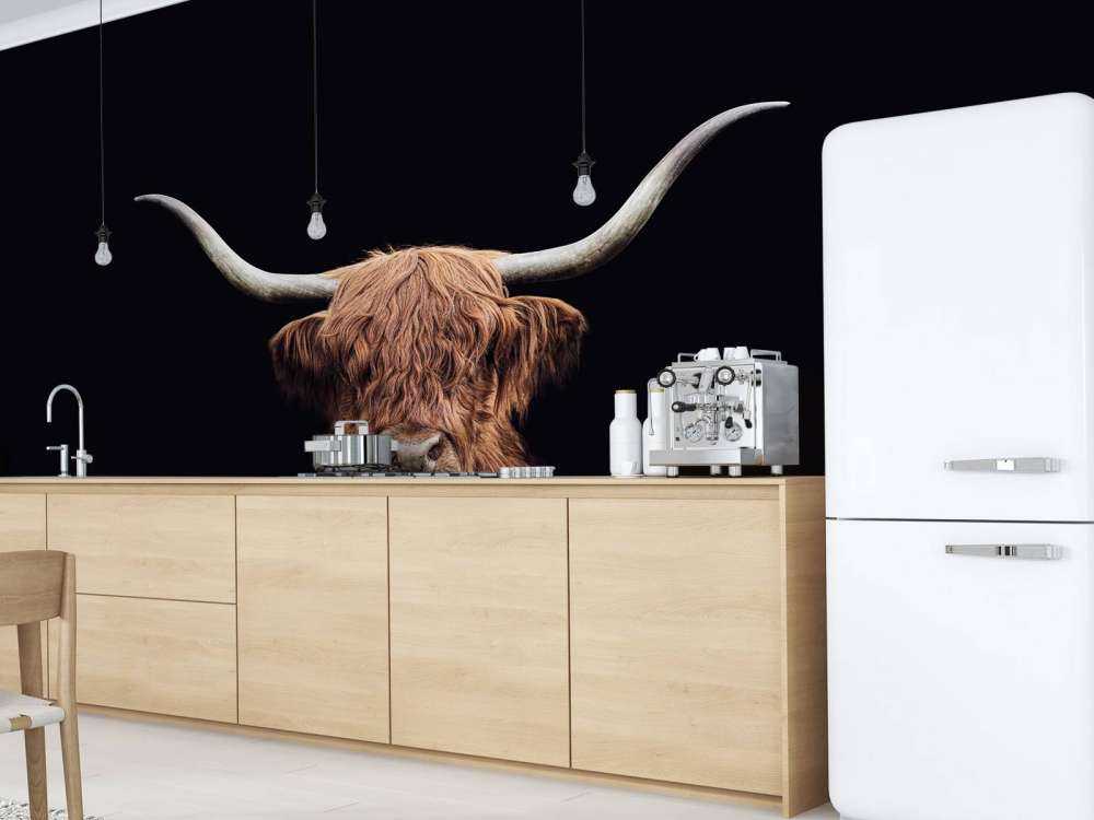 Vintage Scottish Highlander