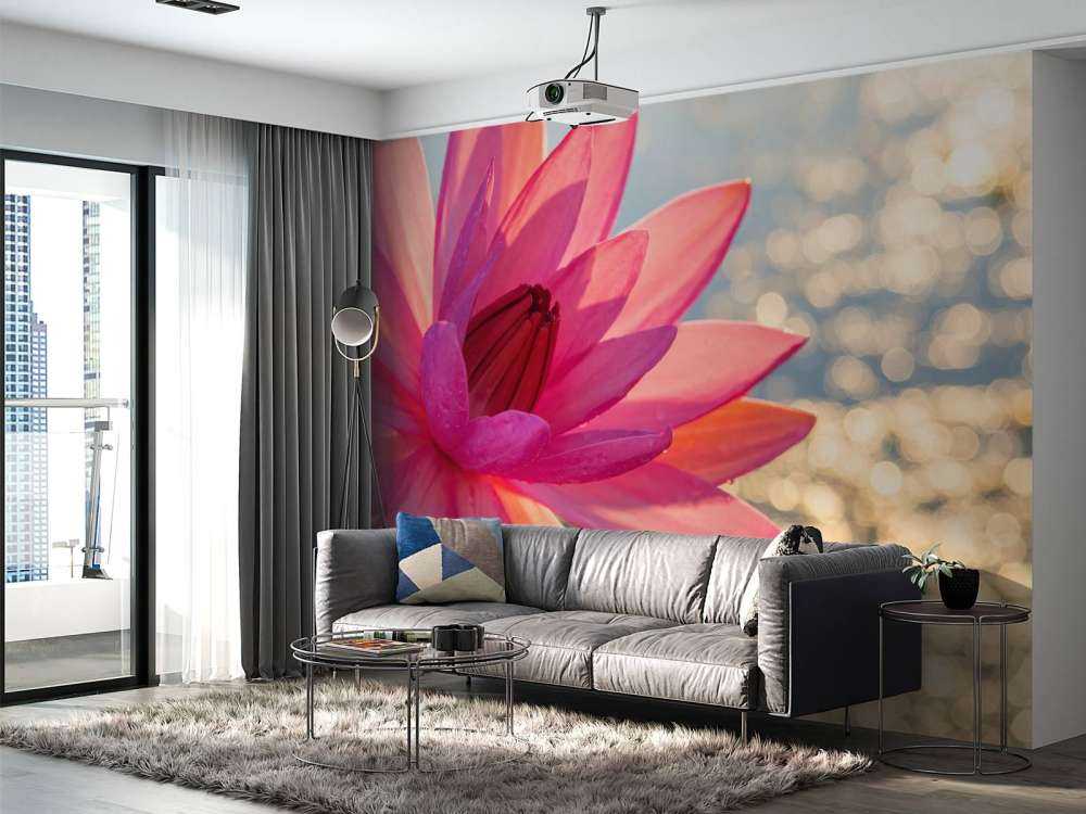 Lotus flower on water