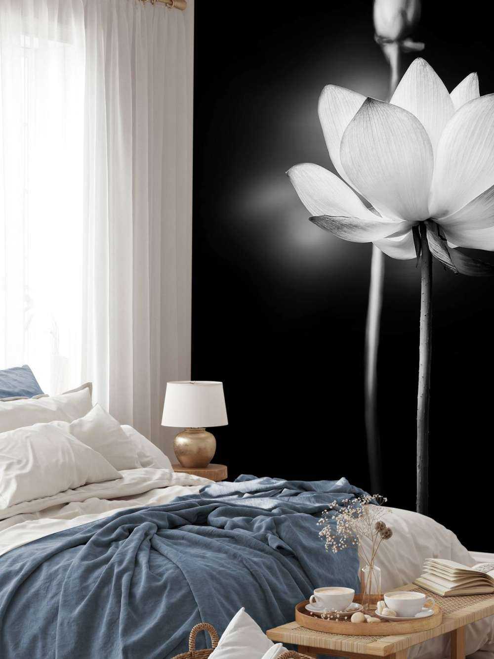 Lotus flowers black and white