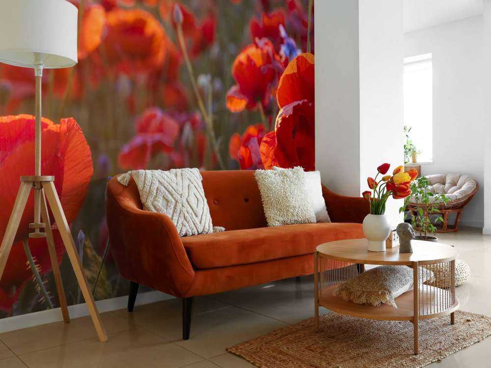 Poppies and cornflowers