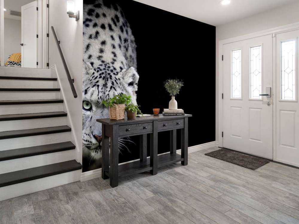 Snow leopard