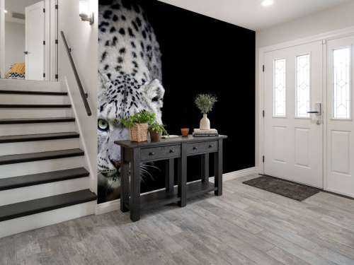 Snow leopard